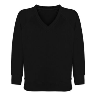 V Neck Sweatshirt Senior Thumbnail